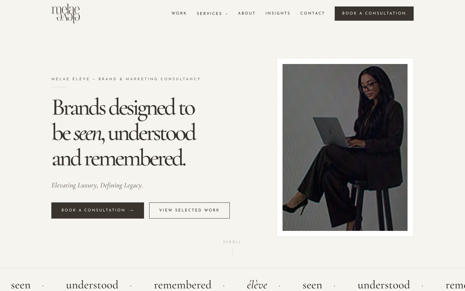 Melae Eleve consultancy website